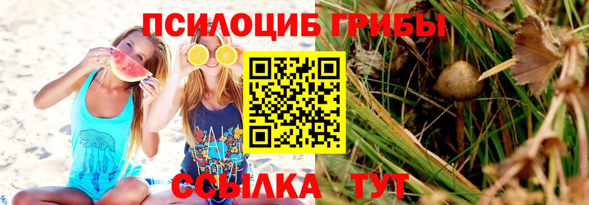 Псилоцибиновые грибы прущие грибы  Вход с VPN  Кашира  Галлюциногенные грибы мухоморы 